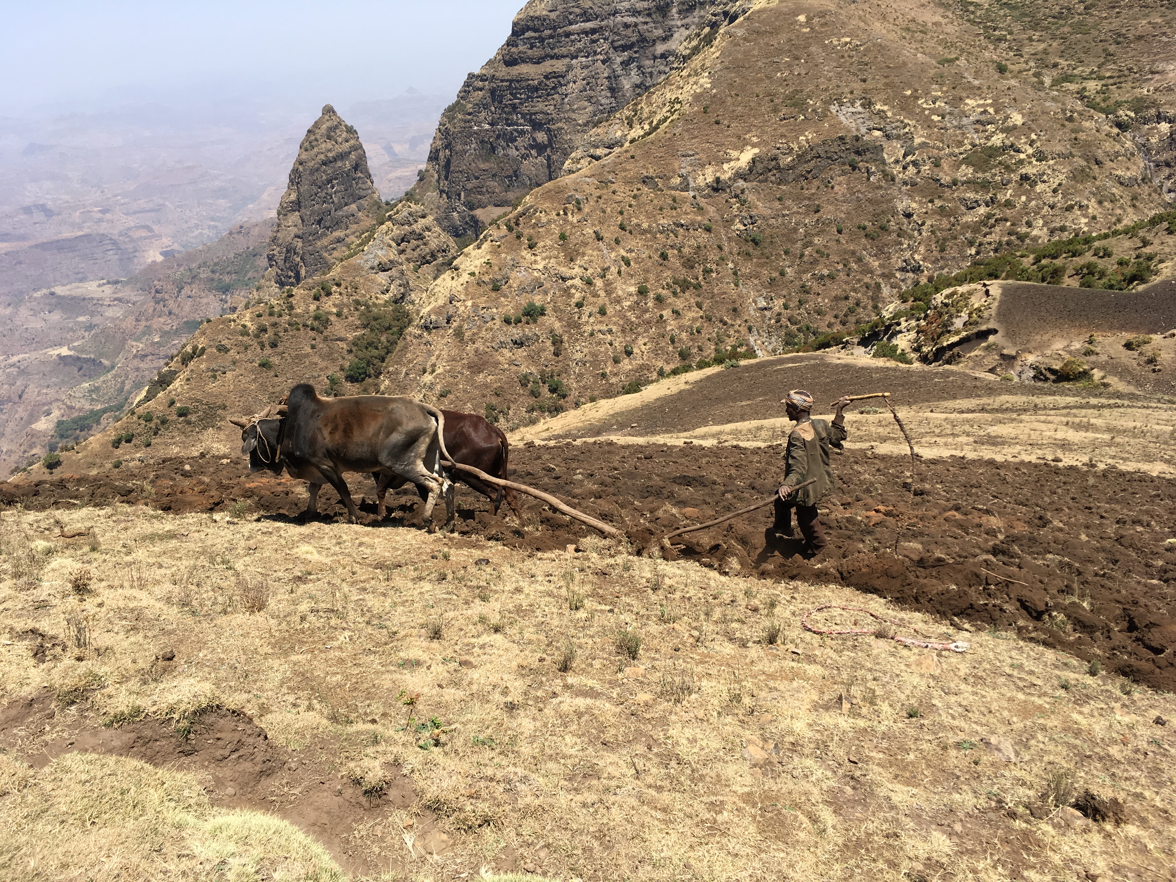 mountain farmers