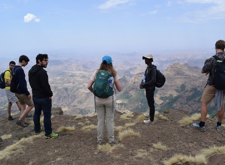 simien group